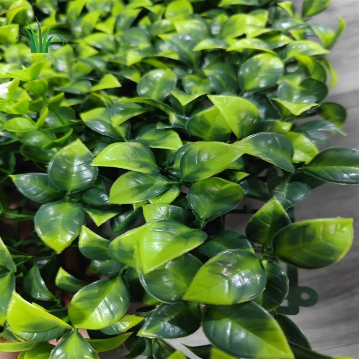 Diy Indoor Vine Wall