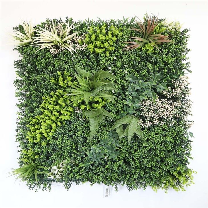 Indoor Green Wall