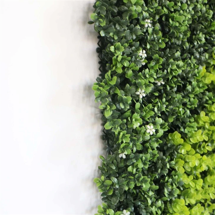 Indoor Green Wall