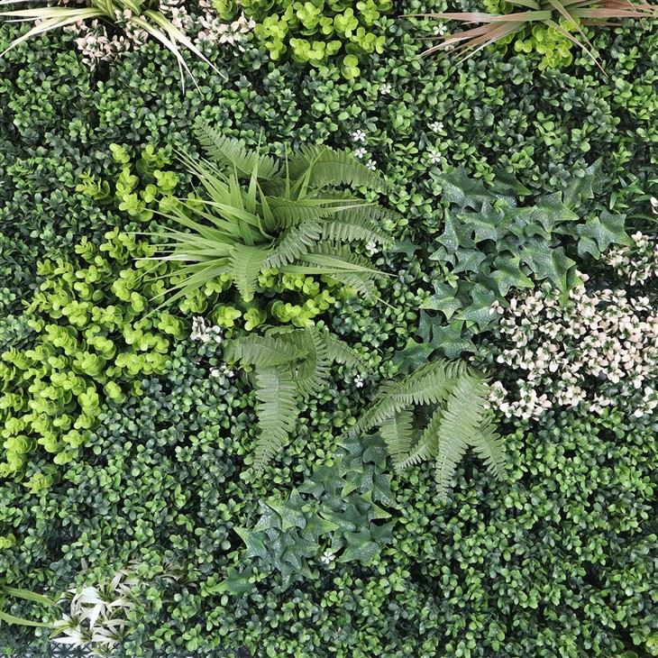 Indoor Green Wall