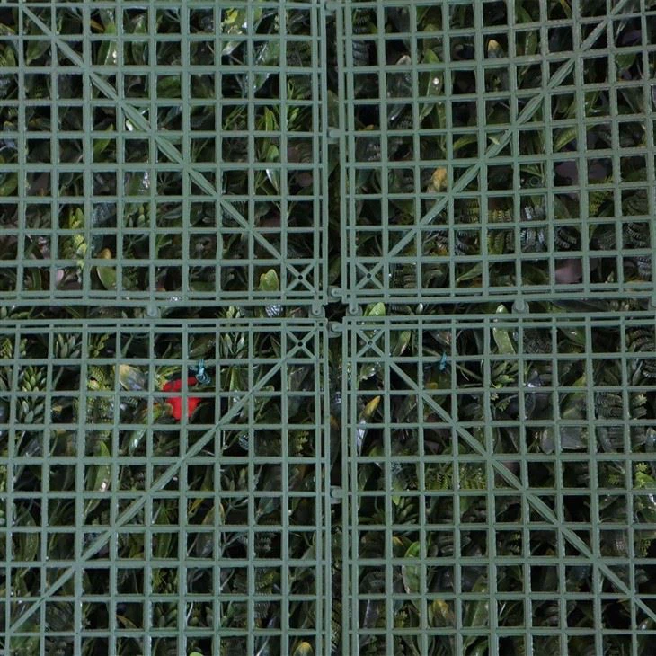 Indoor Vine Plants Wall