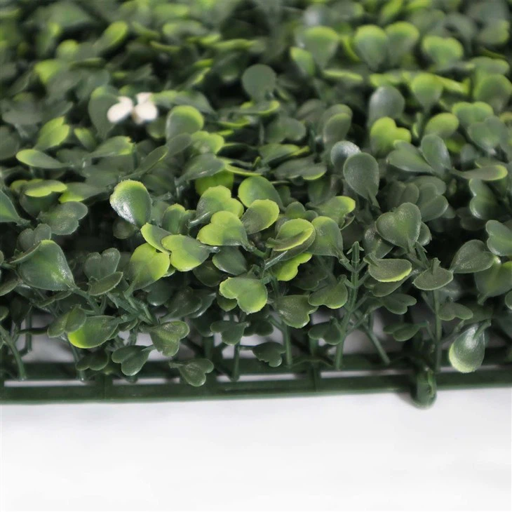 Living Wall Garden Indoor