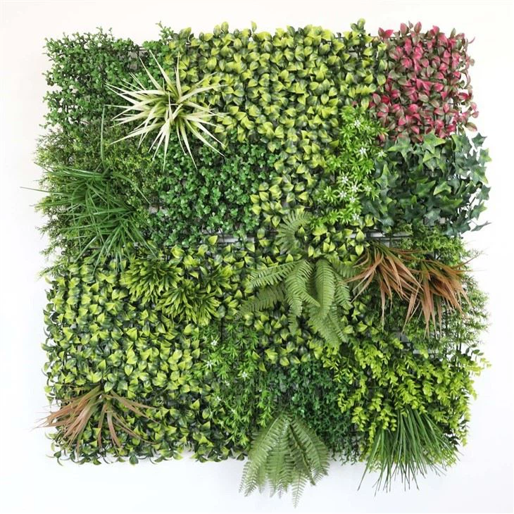 Living Wall Indoor Moss