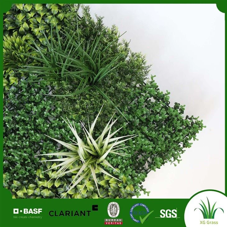 살아있는 벽 실내 이끼