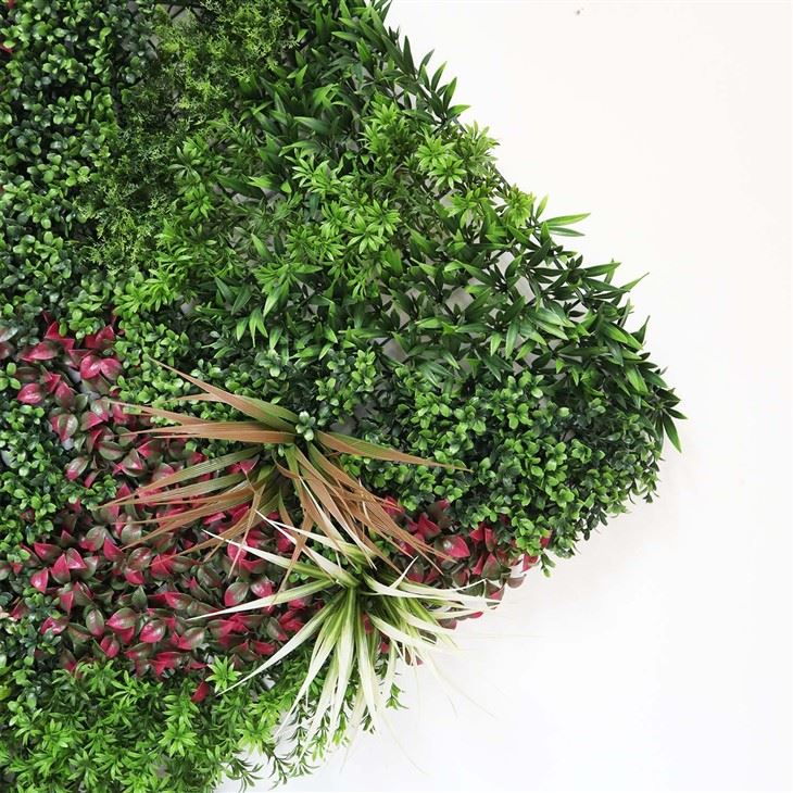 Modular Green Wall