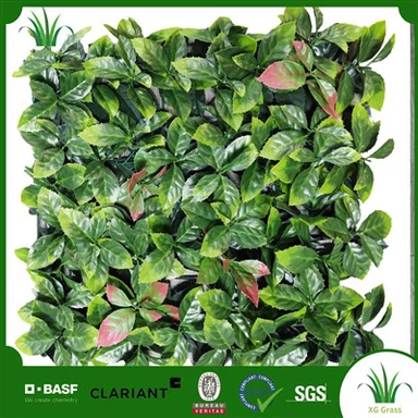 아파트 식물 벽