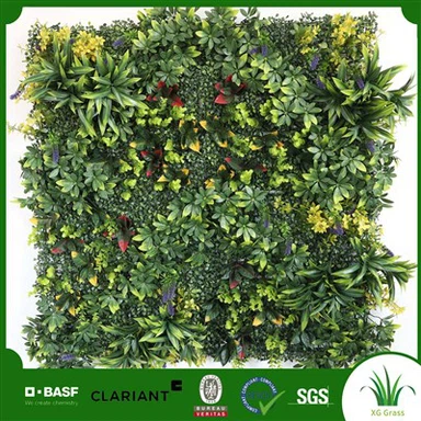 실내 벽 아이비