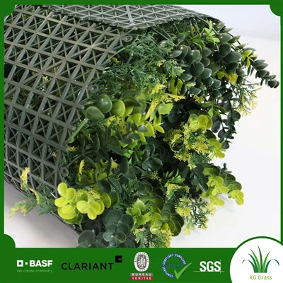 거실의 식물 벽